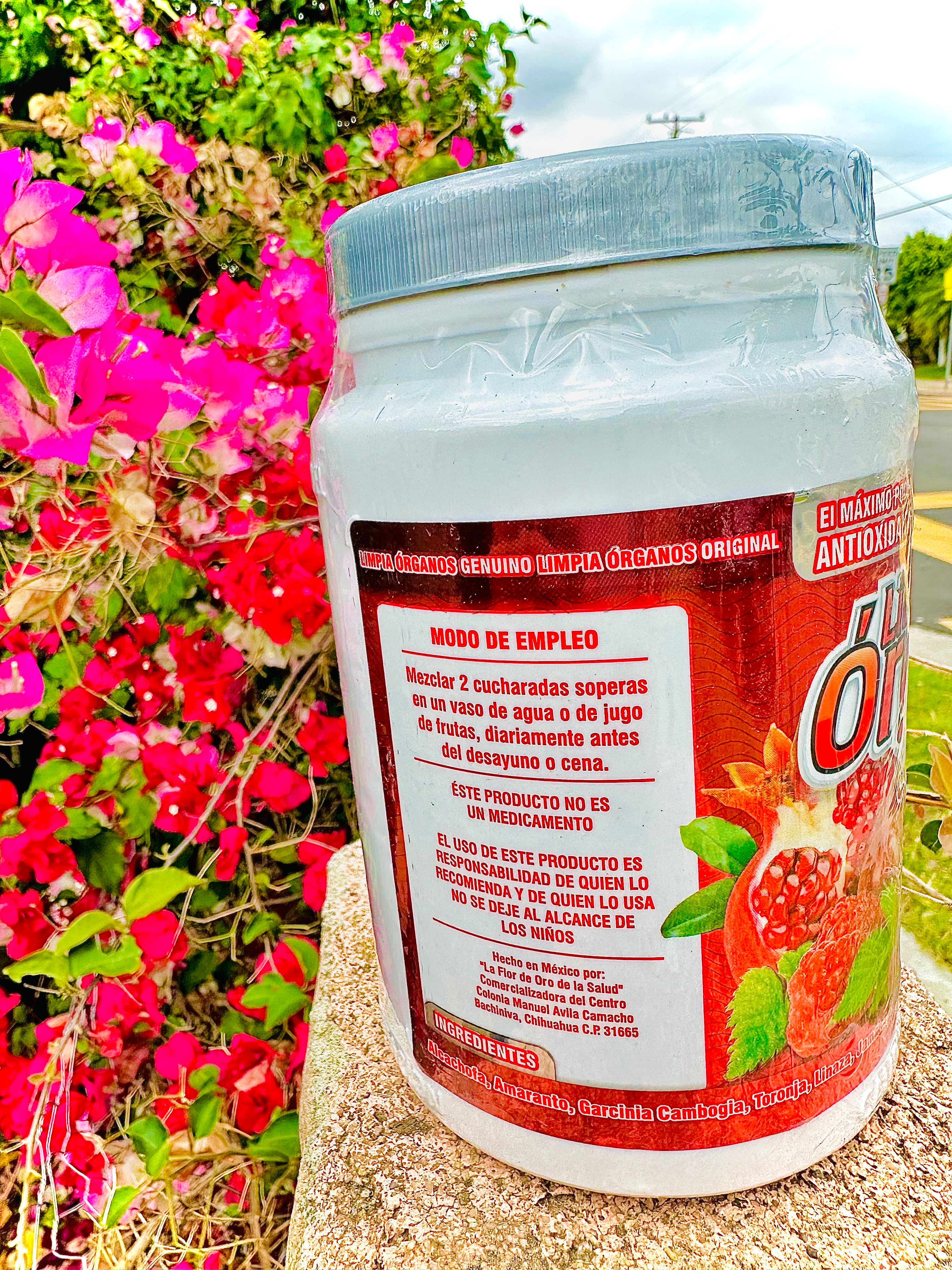 Limpia Órganos Frutos Rojos