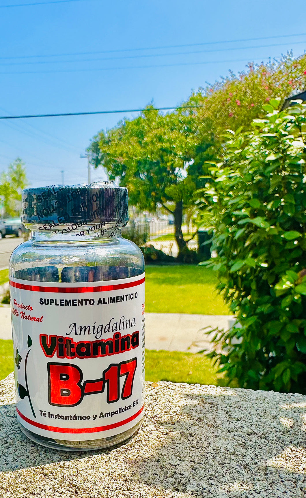 Amigdalina Vitamina B-17 30 Cápsulas CT