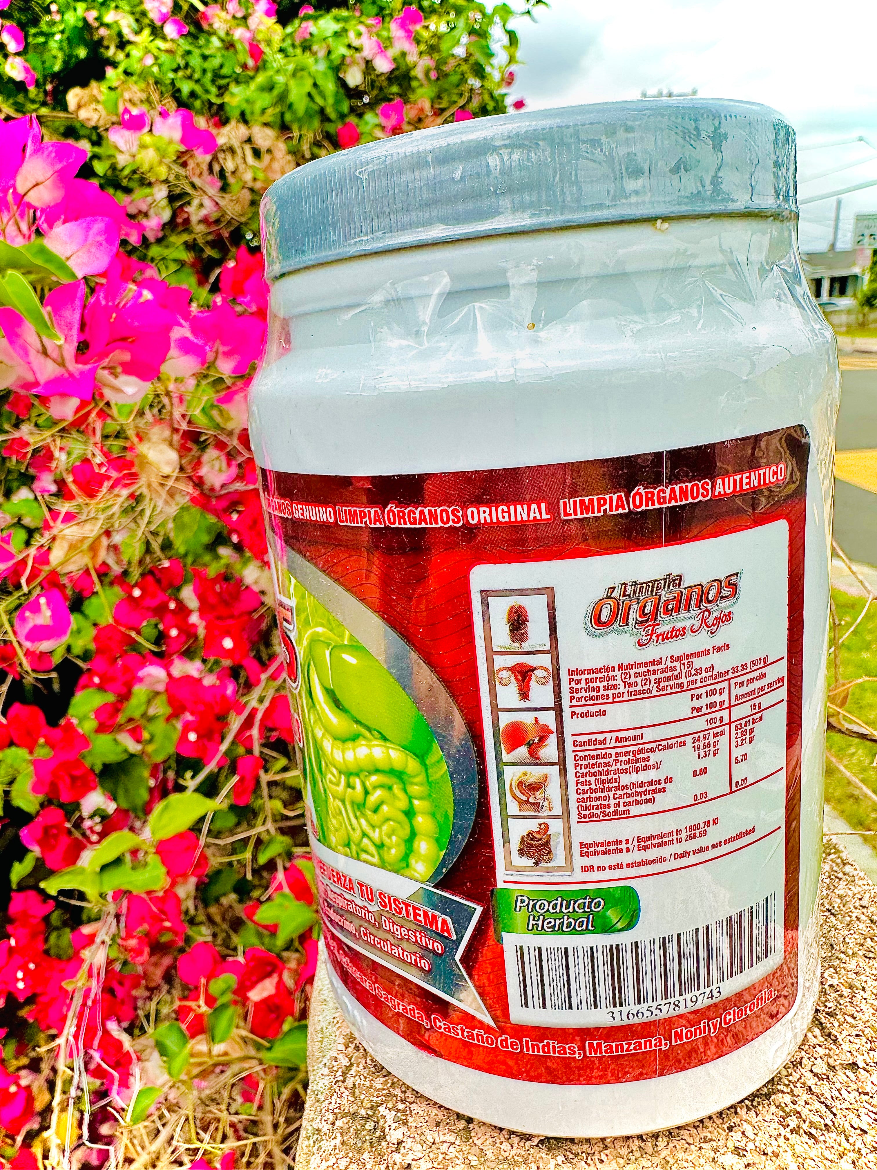 Limpia Órganos Frutos Rojos