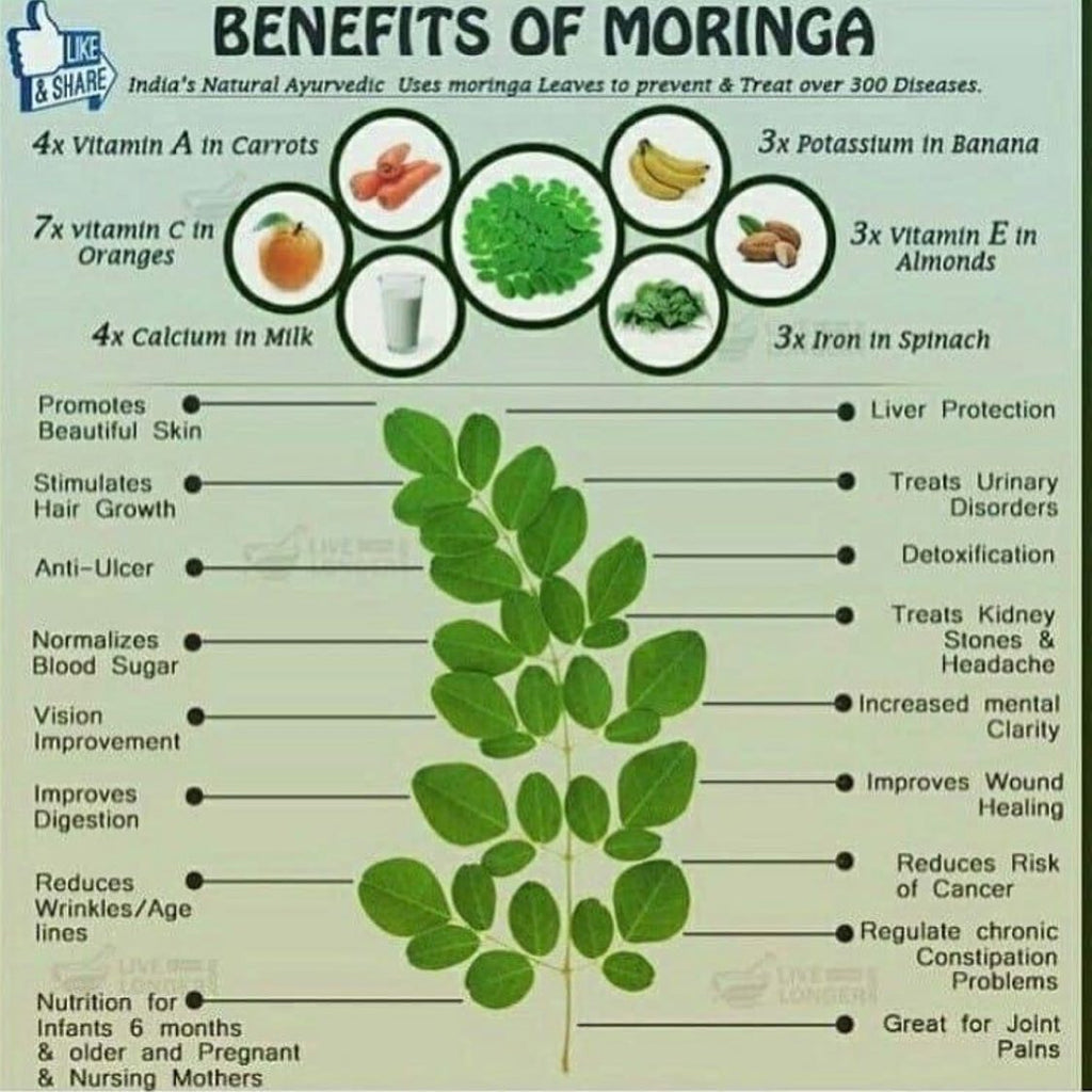 Moringa Powder / Moringa en Polvo 8oz