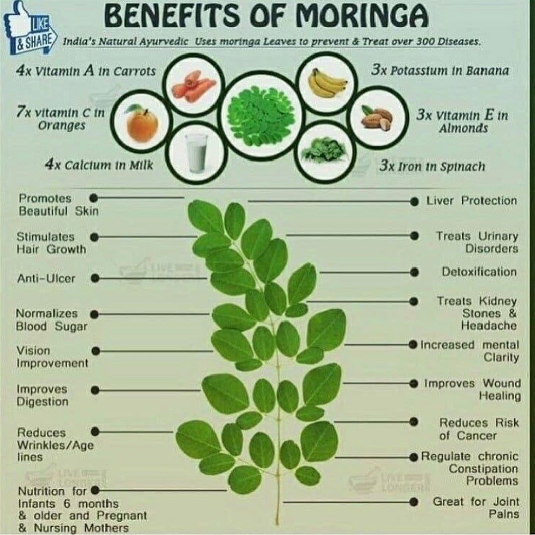 Moringa Powder / Moringa en Polvo 8oz