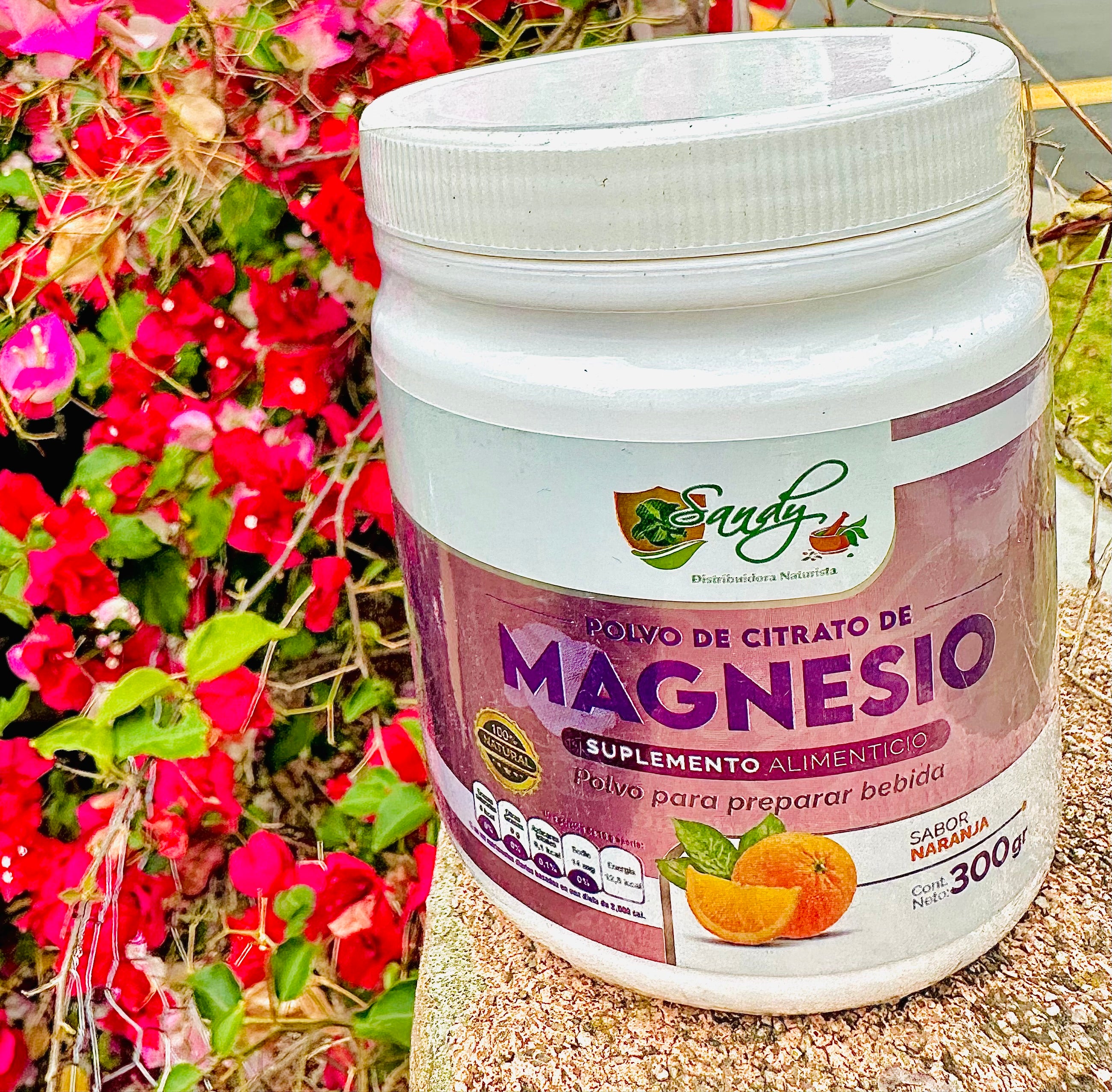 Polvo De Citrato De Magnesio 300 g