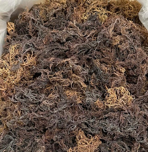 Raw Sea Moss