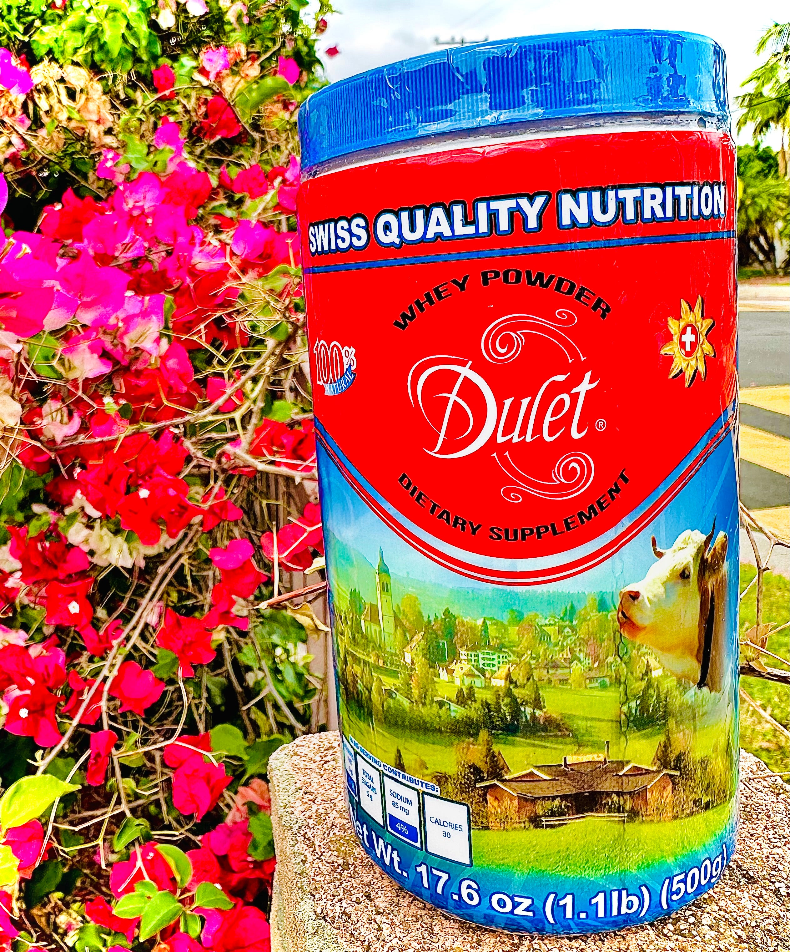 Dulet Whey Powder 17.6 oz (1.1lb) (500g)