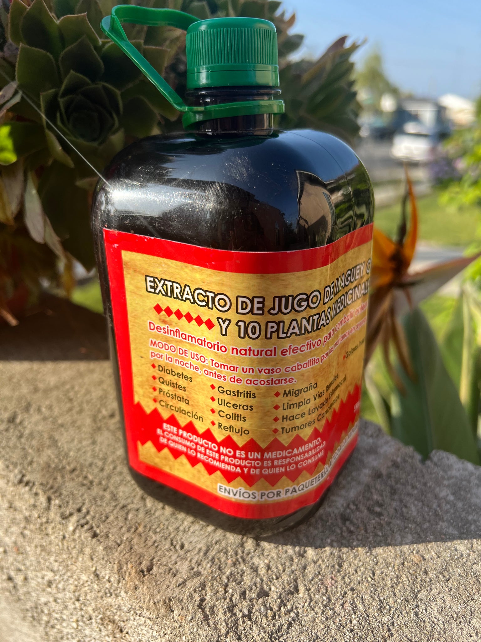 Jugo de Maguey Orgánico 100% Natural con Savila y 10 Plantas Medicinal