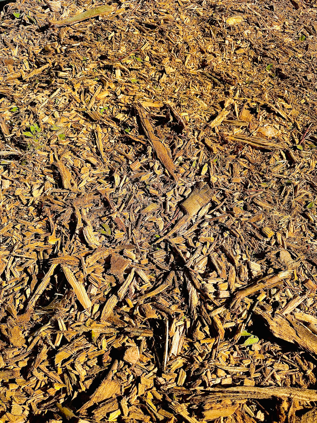 Fresh Eucalyptus Mulch