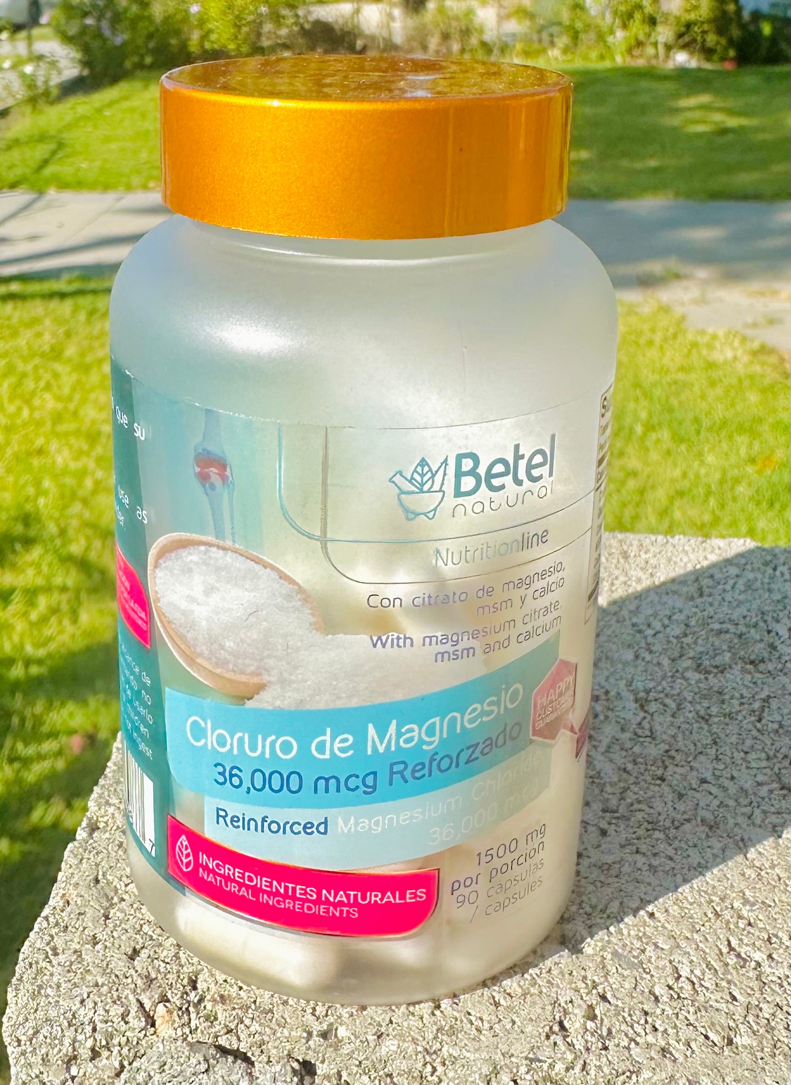 Cloruro de Magnesio 36,000 mcg Reforzado 90 Cápsulas 1500mg Betel