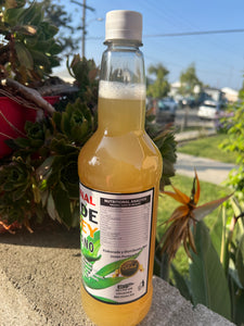 Jugo de Maguey de Michoacán calidad de exportación