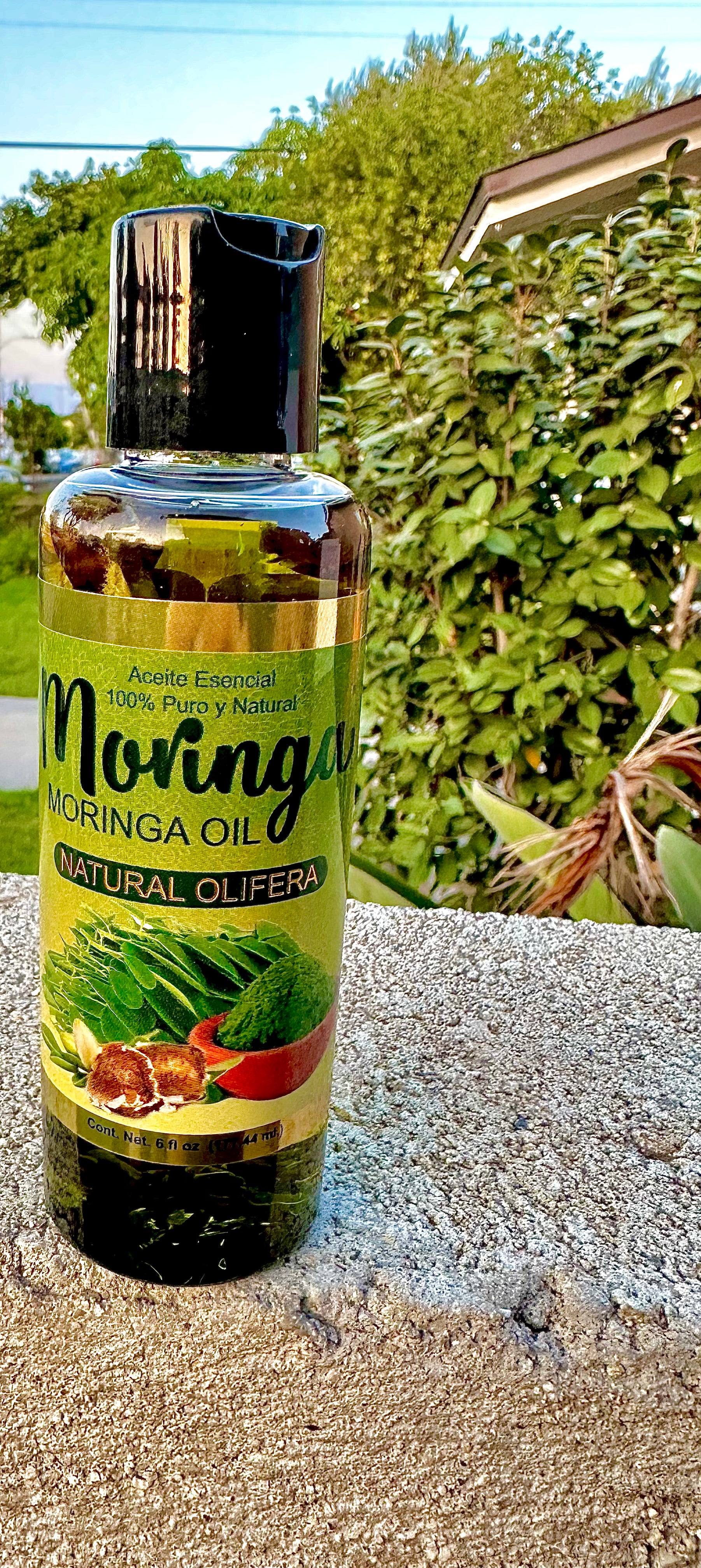 Moringa oil 6 fl oz External Use