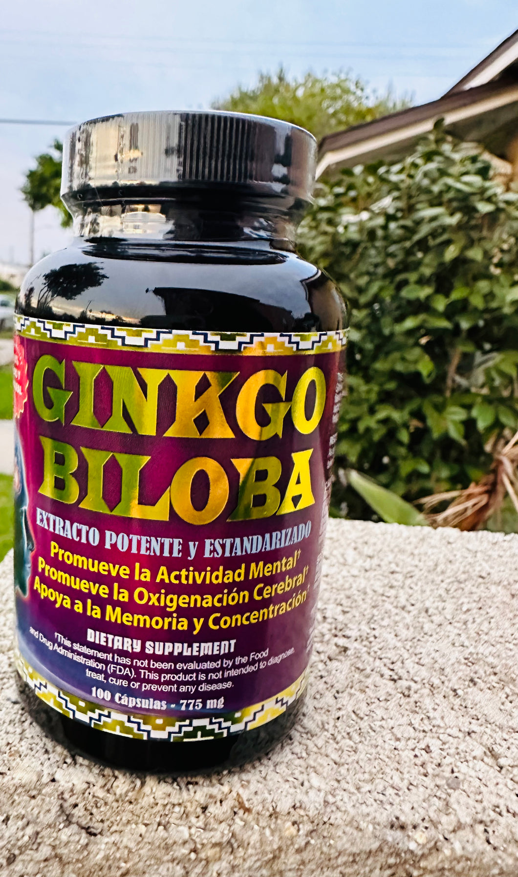 Ginkgo Biloba 100 Capsules