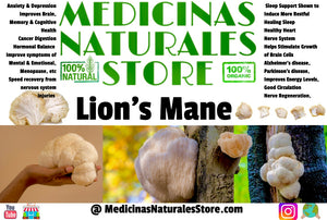 Lion’s Mane Vegan Capsules