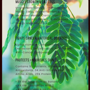 Moringa Powder / Moringa en Polvo 8oz