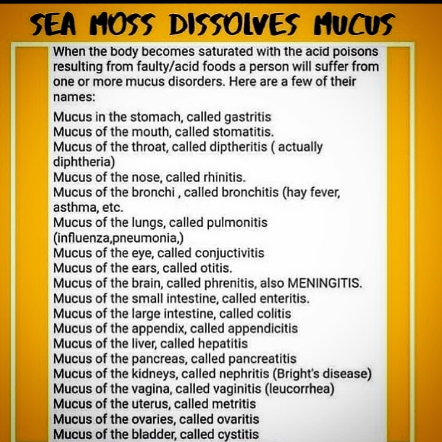 92 Mineral Sea Moss Gel