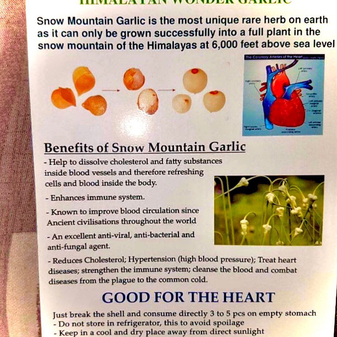 Ajo Chino (Chinese Garlic Chives)