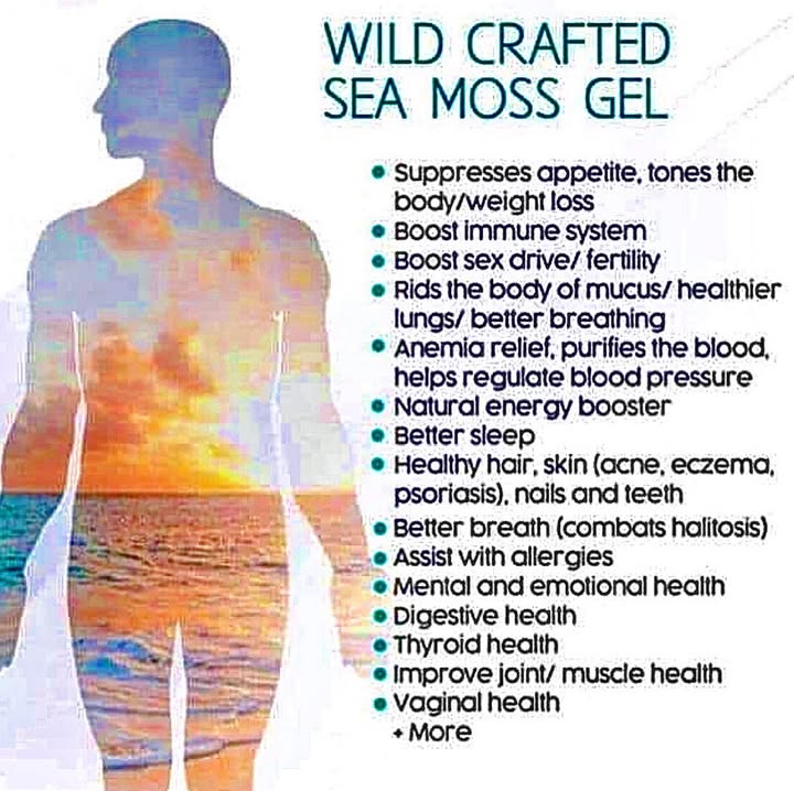 102 Mineral Sea Moss Gel With Bladderwrack & Burdock Root