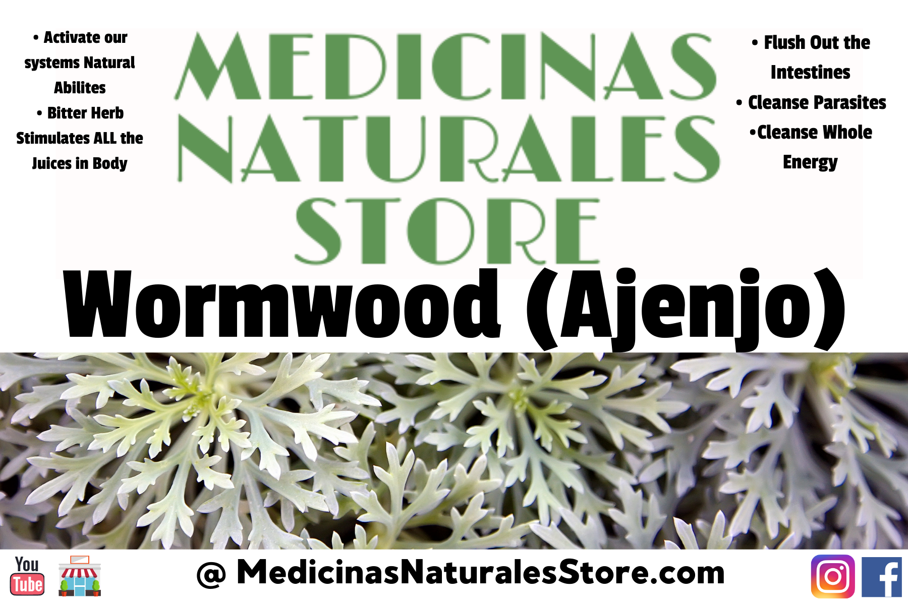 Wormwood Ajenjo Vegetarian Capsules