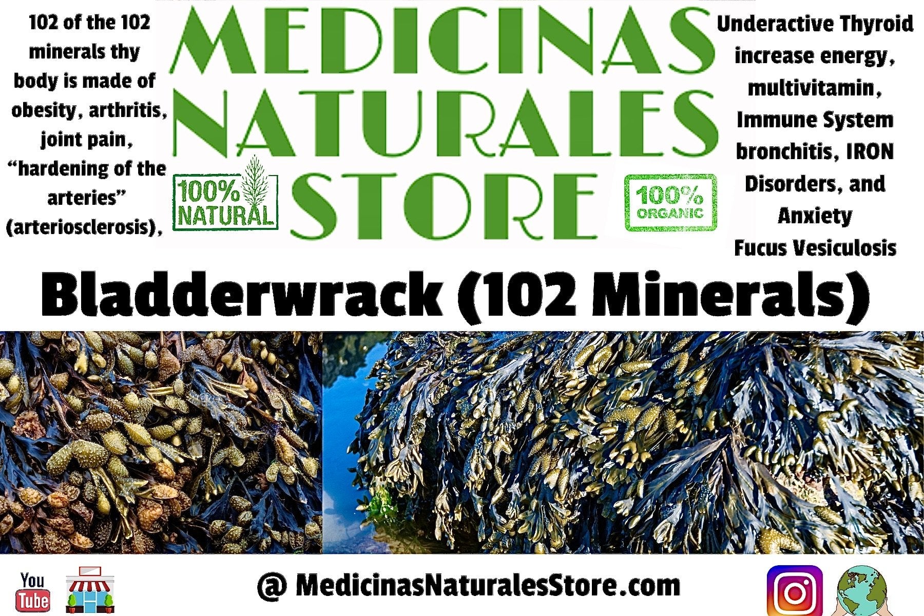 102 Mineral Sea Moss with Bladdewrack & Burdock Root Vegan Capsules