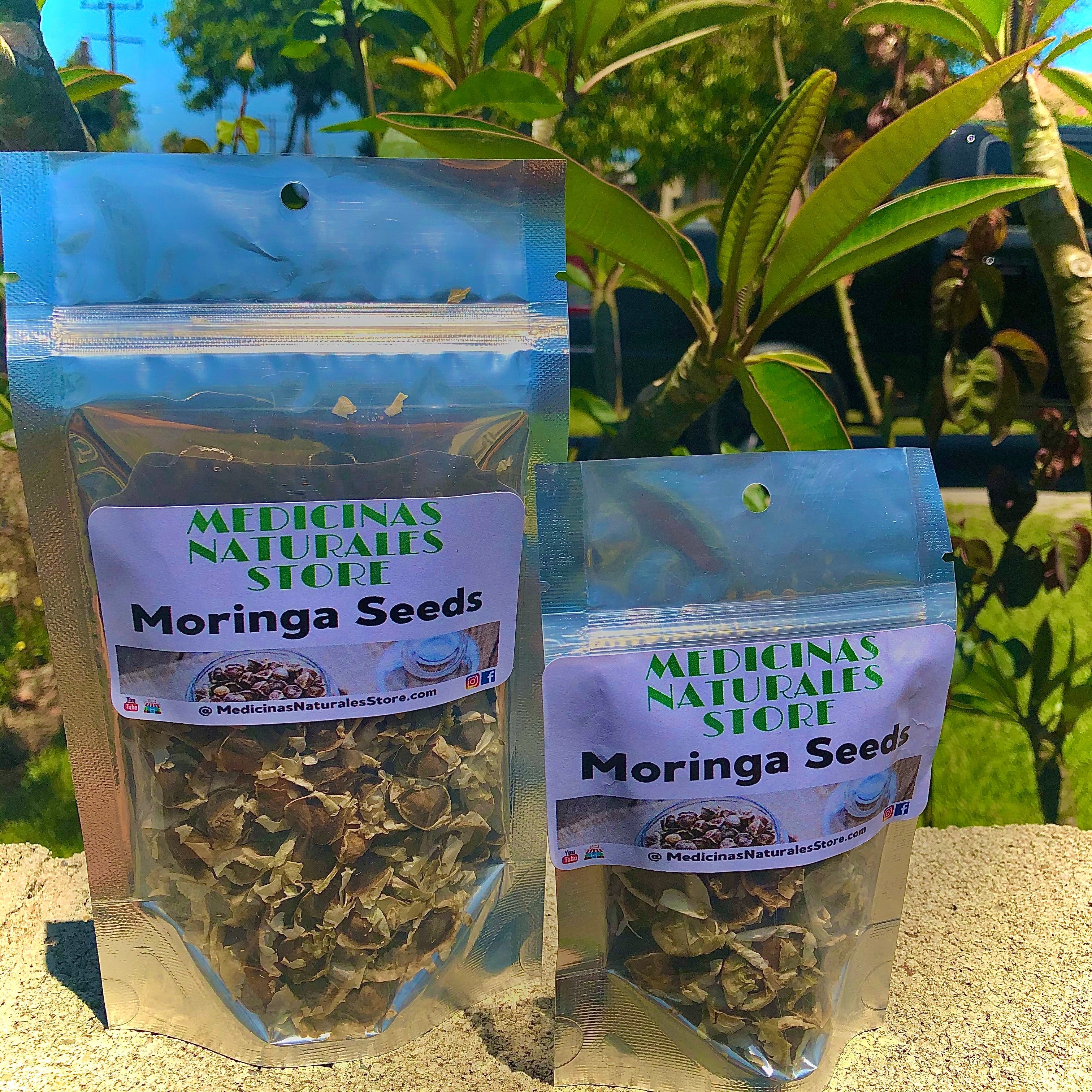 MORINGA Seeds Powder