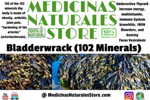 Bladderwrack Vegetarian Capsules