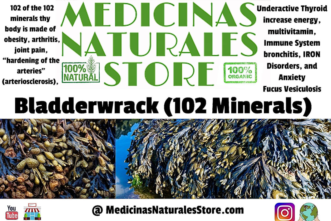 Bladderwrack Vegetarian Capsules