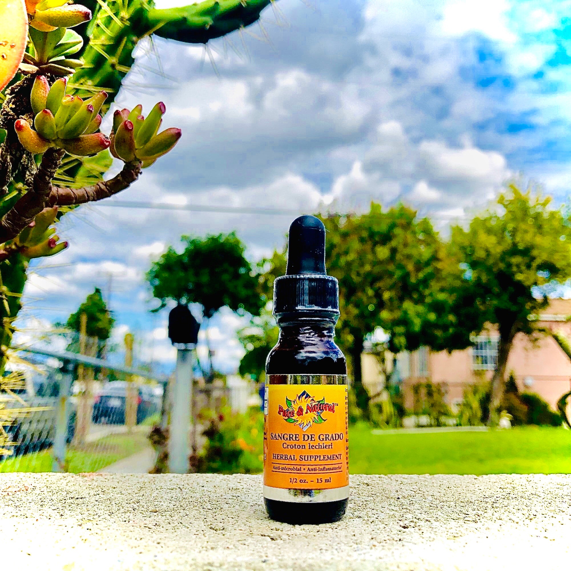 High-potency Croton Lechleri sap gotas in a travel-size 1 oz bottle for traditional wellness support.