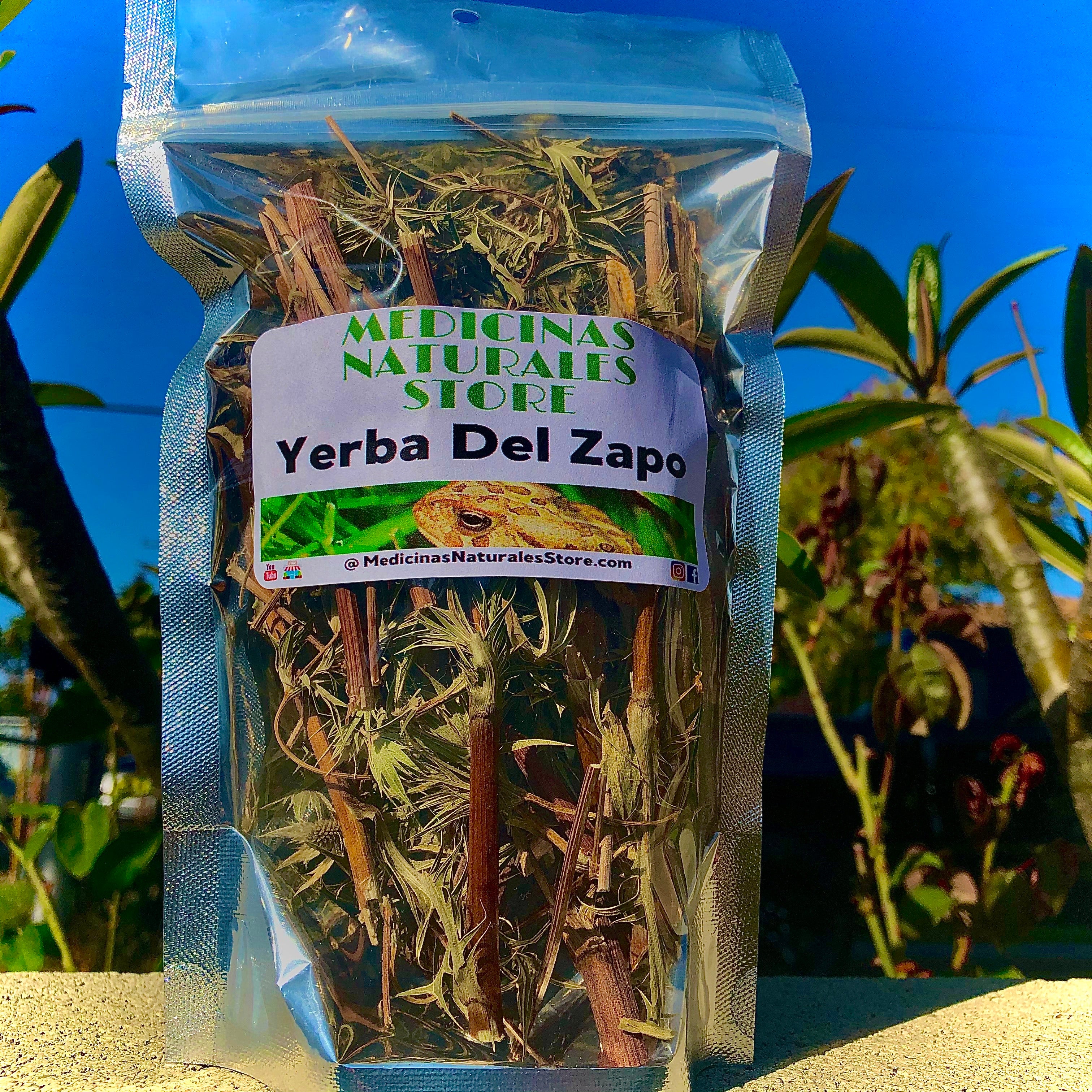 High-potency Eryngium carlinae in a professional light-protected pouch.