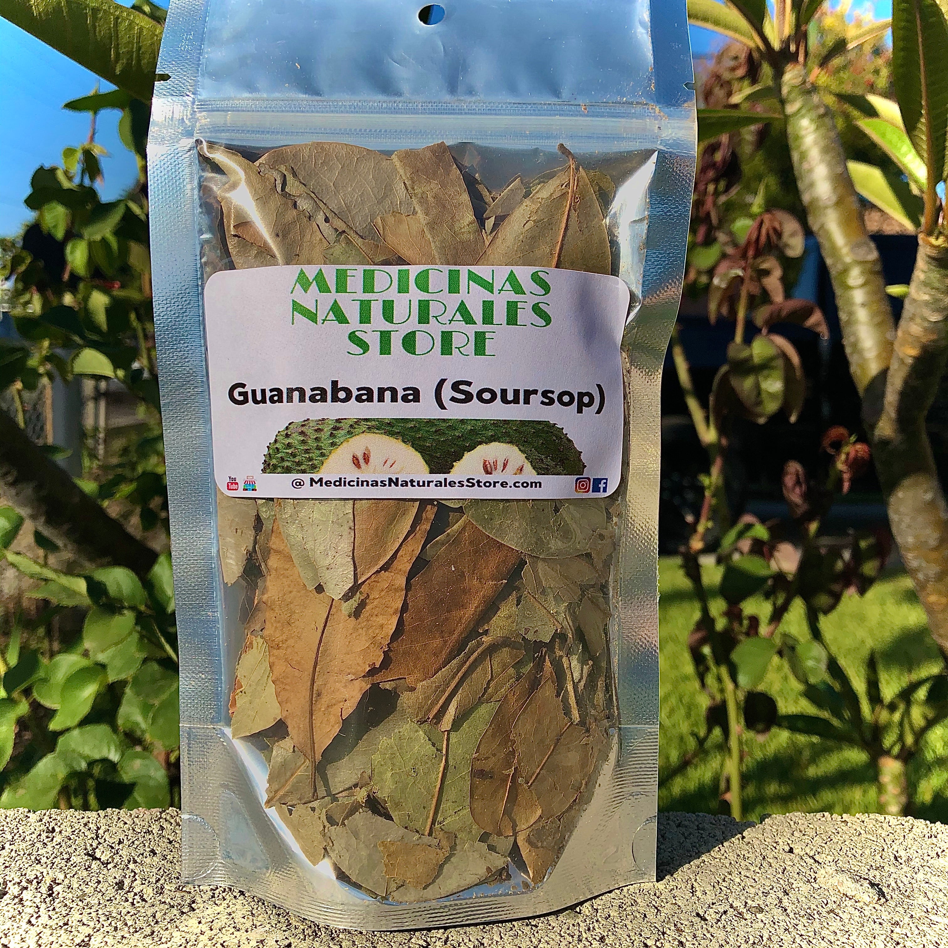 Hand-selected dried Graviola leaves in a resealable pouch for freshness.