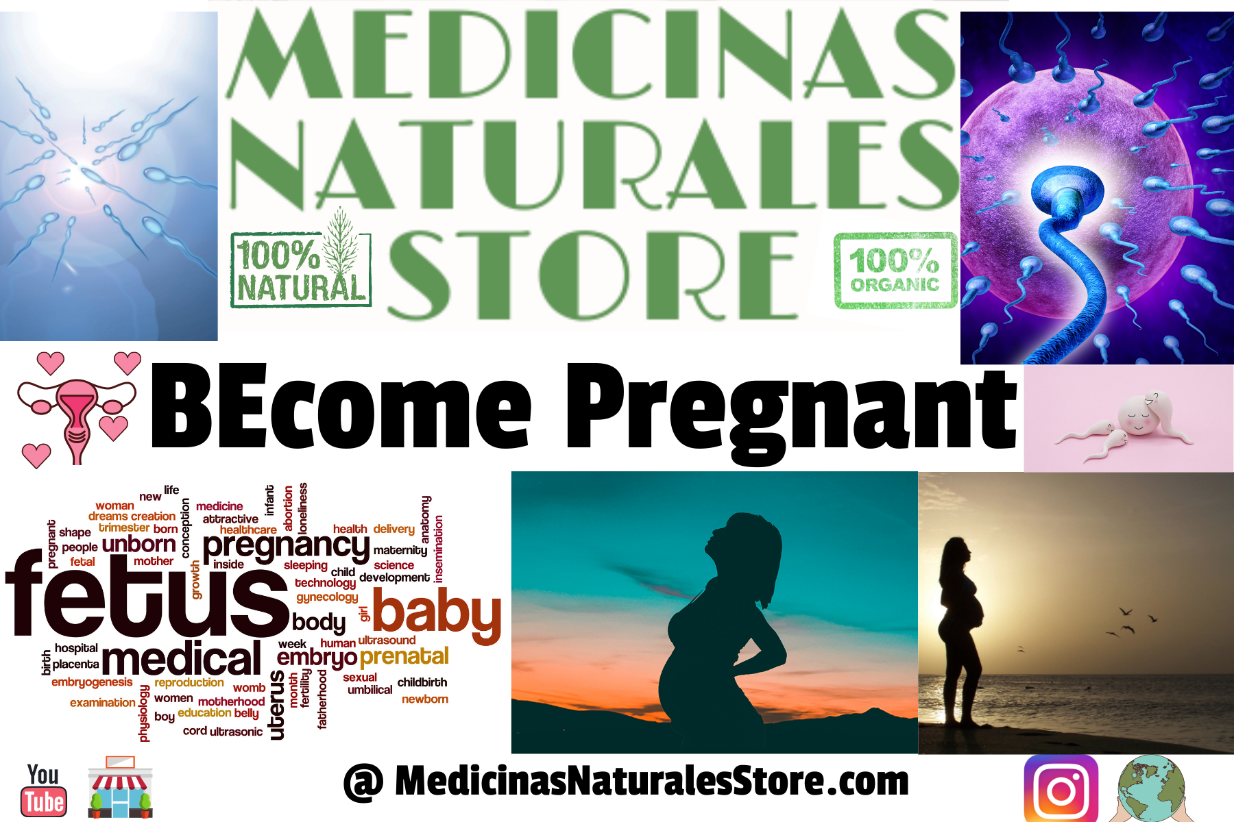Professional bottle of Prenatal Maternal Vitality capsules with Nettle, Lucuma, and Sea Moss for mineral-dense reproductive support.