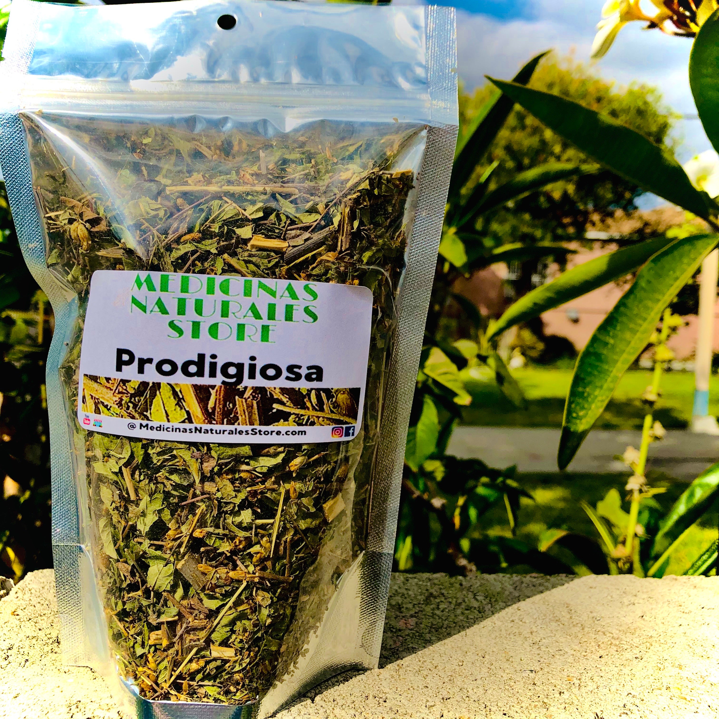 Close-up view of dried Prodigiosa (Dream Herb) leaves showing high-quality botanical texture.