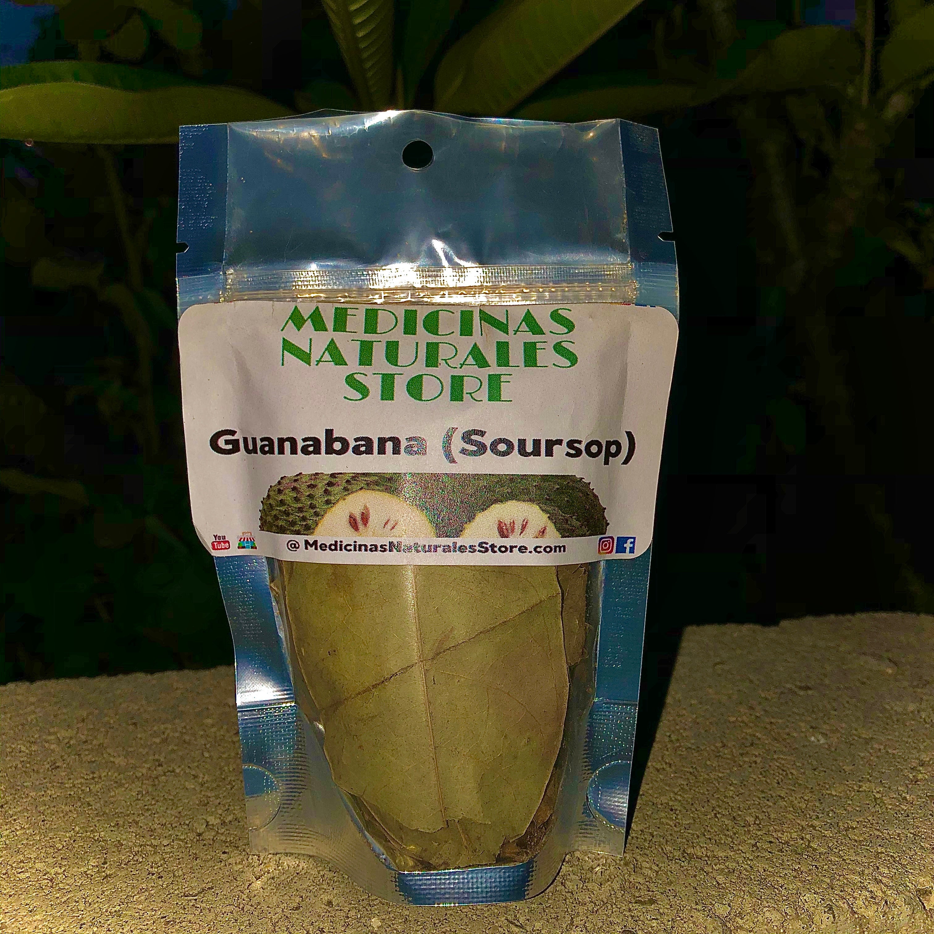 Close-up of premium, intact Guanabana leaves showing natural green color.
