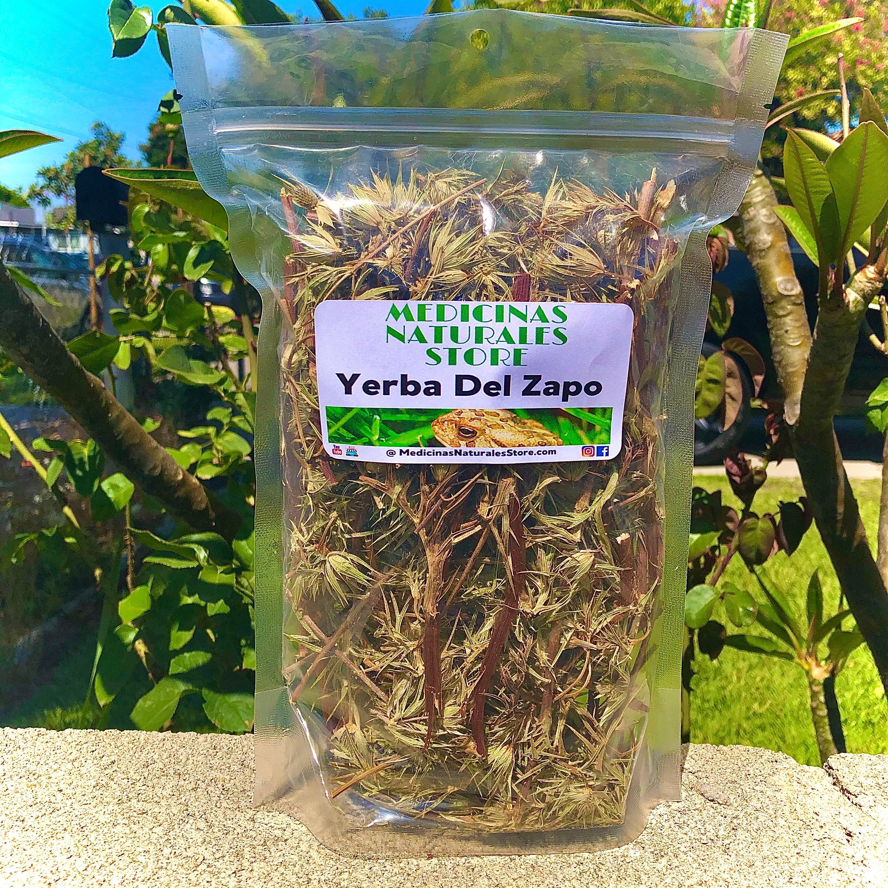 Authentic Yerba Del Sapo tea for natural digestive harmony.