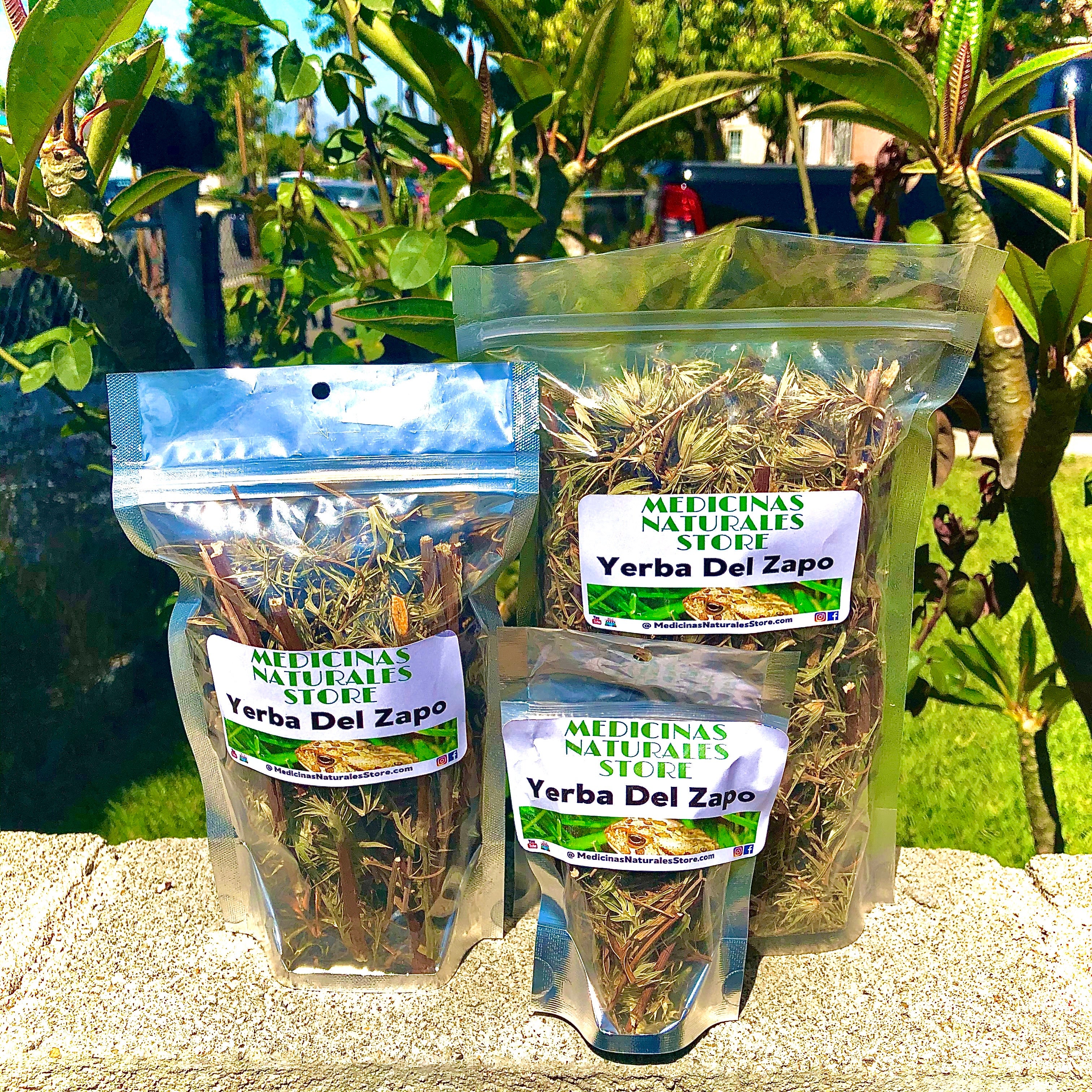 Premium dried Yerba Del Zapo herb for traditional internal balance.
