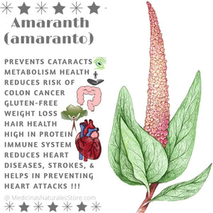 Roasted Amaranth (Amaranto)