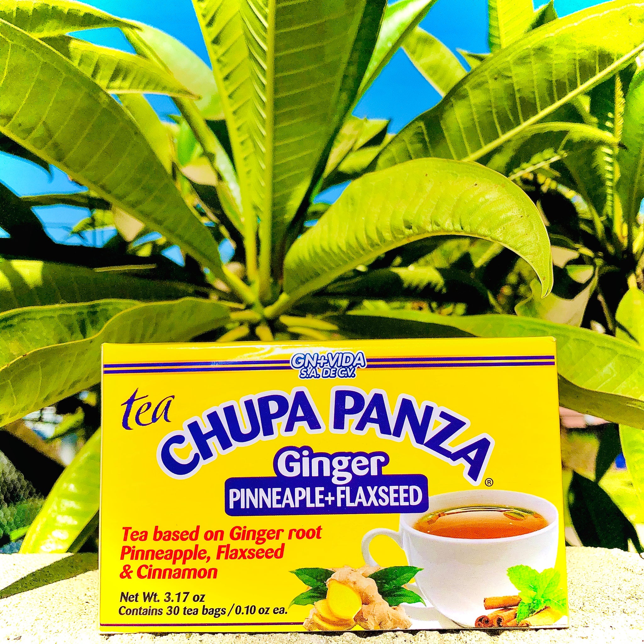 Té Chupa Panza (jengibre, Piña Y Linaza) 30 Sobres De 3g C/u Gn+vida