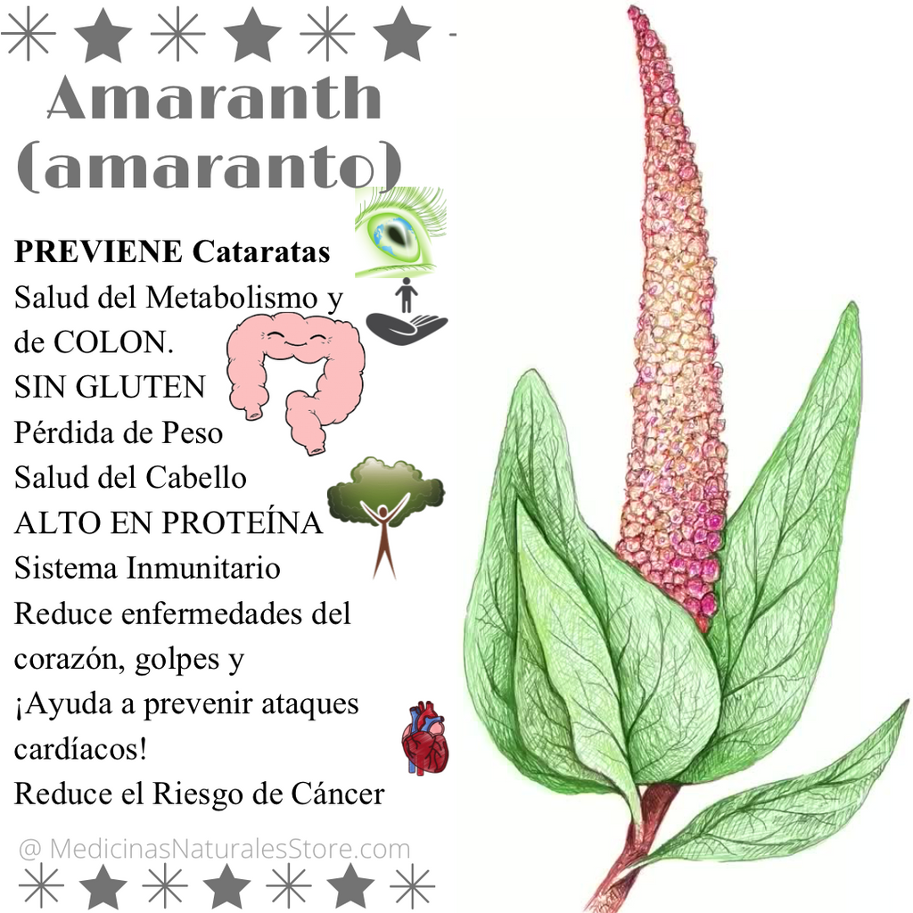 Roasted Amaranth (Amaranto) - Premium Ancient Grain & Plant Protein