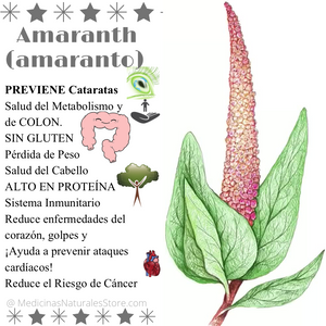 Roasted Amaranth (Amaranto)