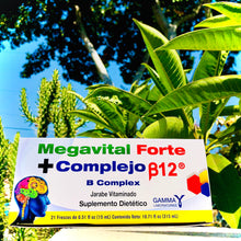 Load image into Gallery viewer, Megavital Forte + Complejo B12 (10.71 fl.oz)
