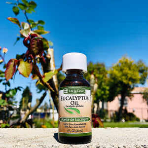 Eucalyptus Oil