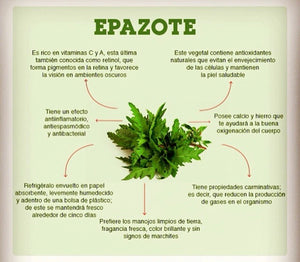 Epazote De Comer (WORMSEED)