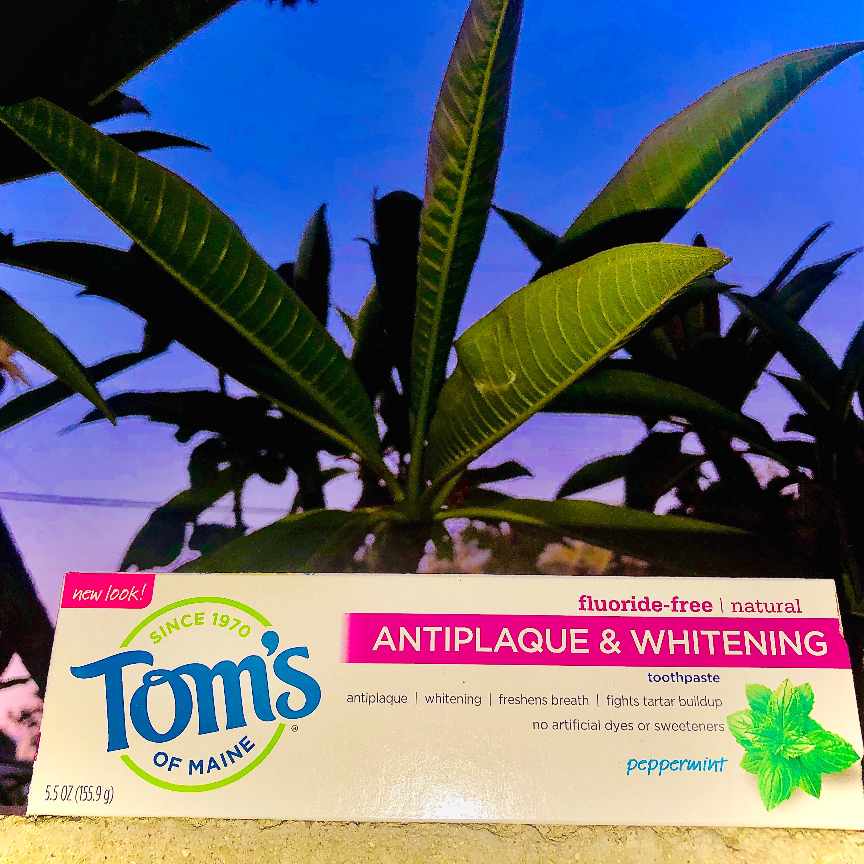 Tom’s Fluoride FREE Toothpaste
