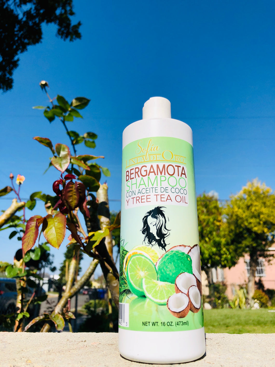 Bergamota Shampoo con Aceite de Coco y Tree Tea Oil