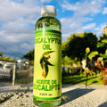 Eucalyptus Oil