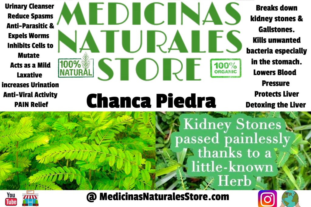 Chanca Piedra
