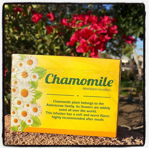 Manzanilla / Chamomile Tea