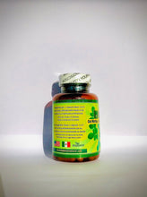 Load image into Gallery viewer, Moronel “Planta De La Vida” 60 Capsules 500 mg
