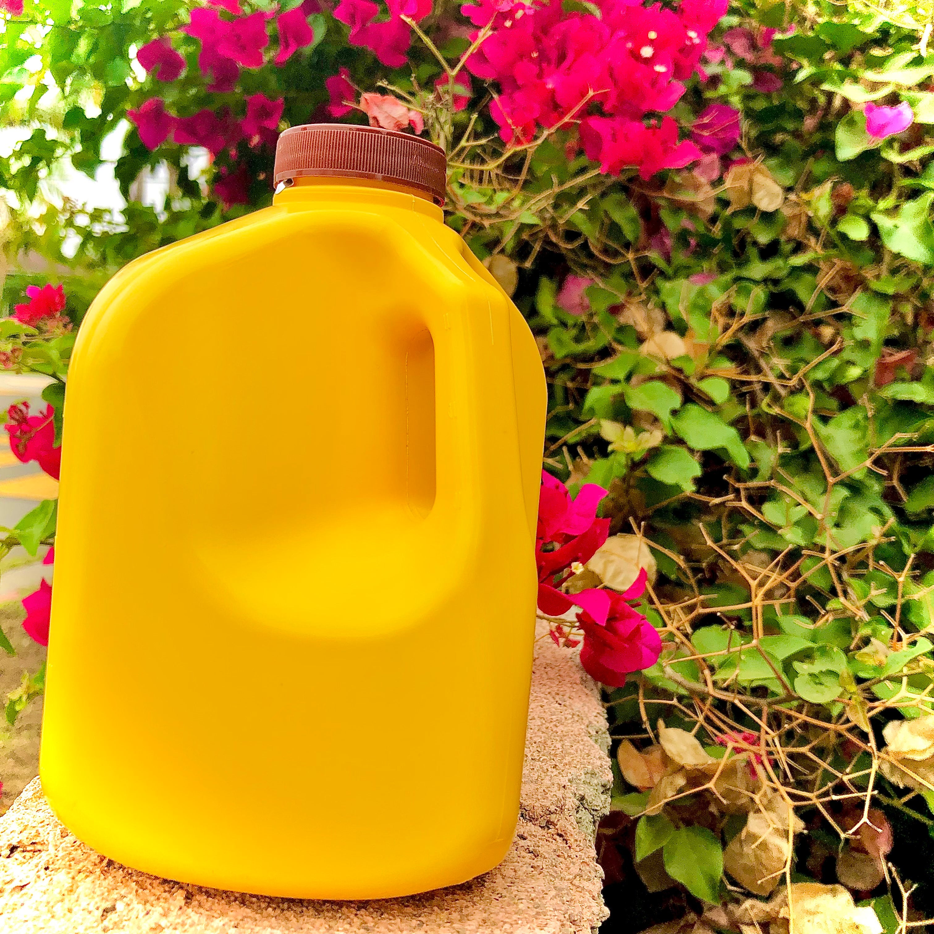 FOREVER ALOE VERA JUICE 1 LITER 33.8 FL OZ (1QT. 1.8 OZ) LEMON-LIME FLAVORED
