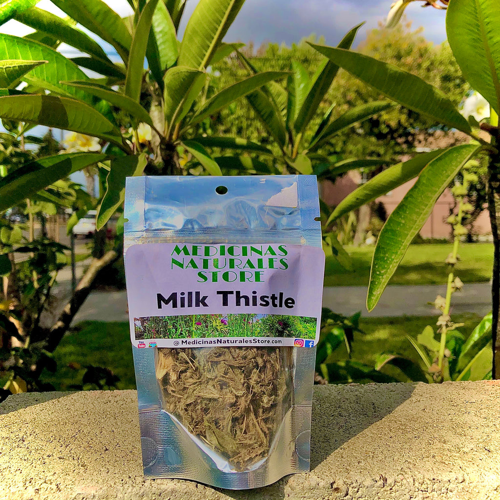 Milk Thistle Tea (Cardo Mariano TE) - High-Potency Botanical Supply