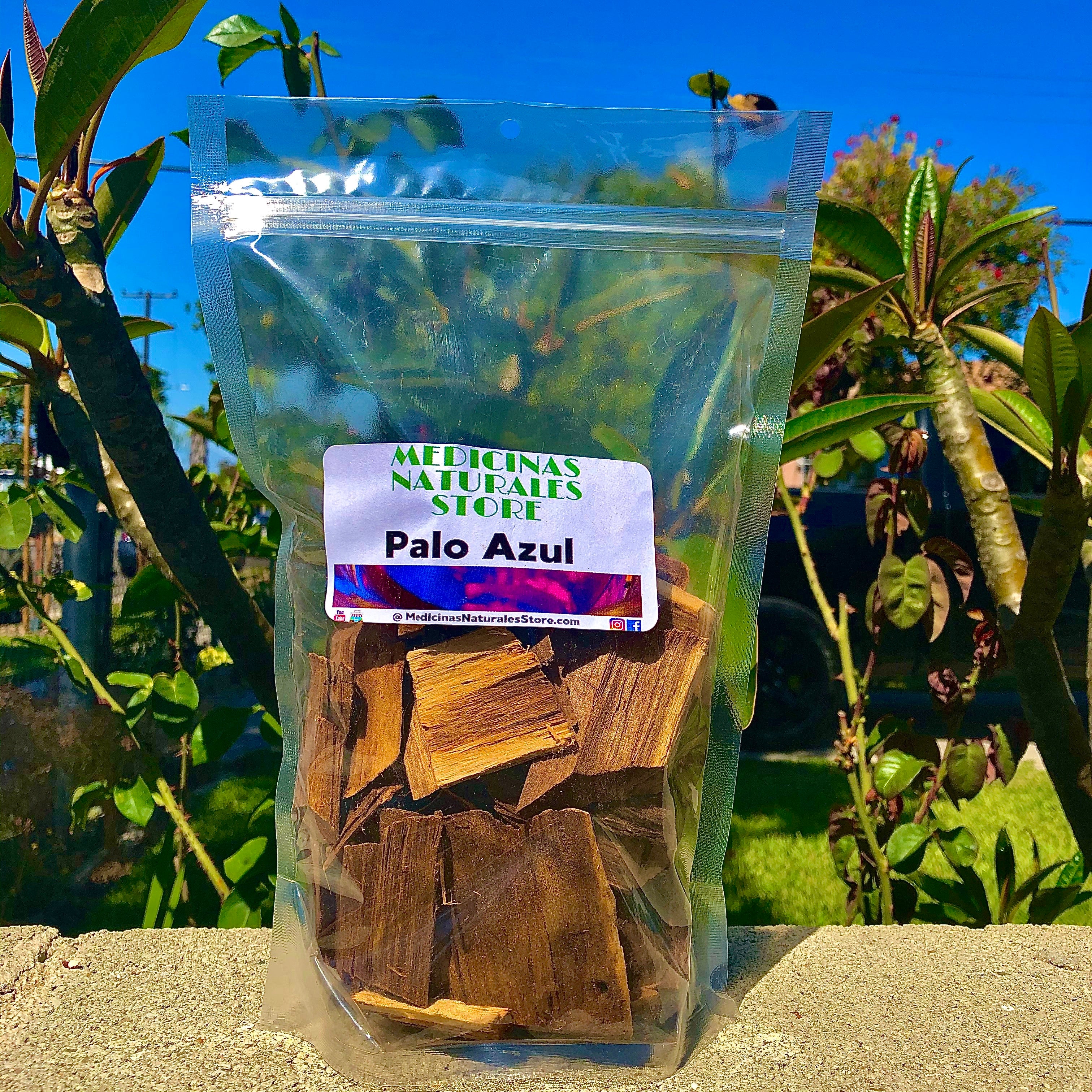 PALO AZUL (Kidney Wood) | Traditional Mexican Herbal Tea