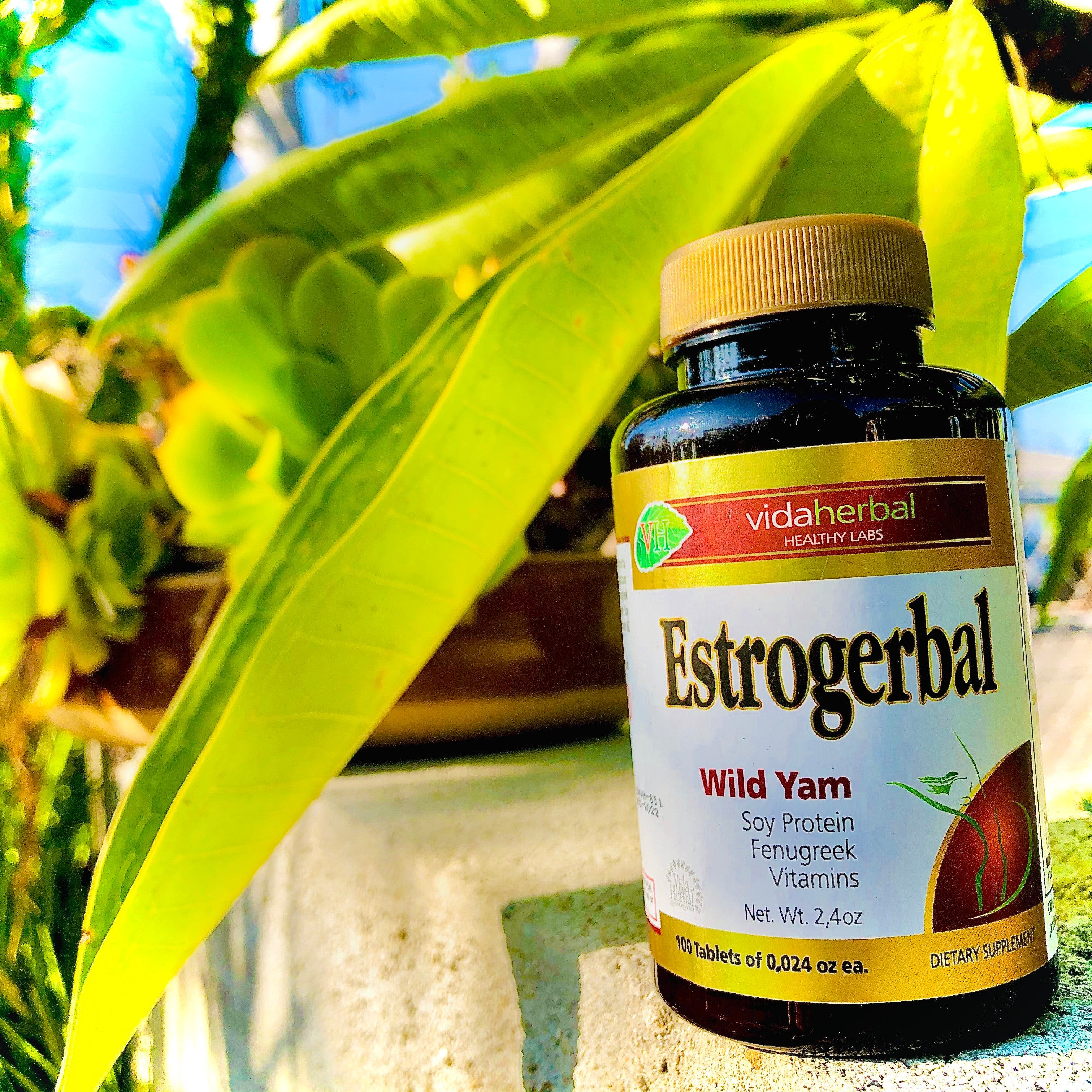Estrogerbal Botanical Support - Wild Yam Herbal Blend (100 Tablets)