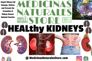 Healthy Kidneys